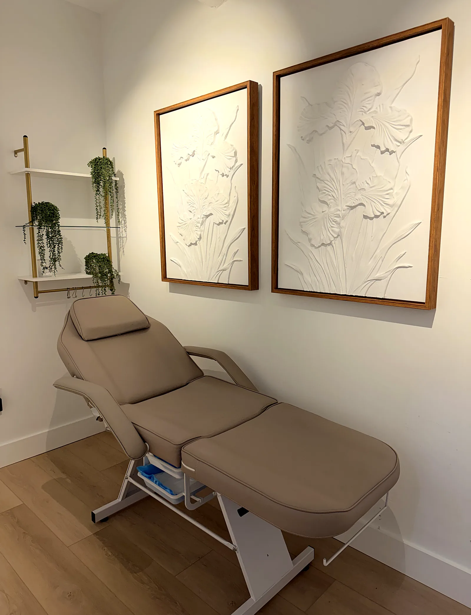 Facial chair beside two framed white botanical relief artworks and hanging plants.